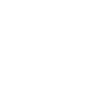 DAIA Holidayckeck Award