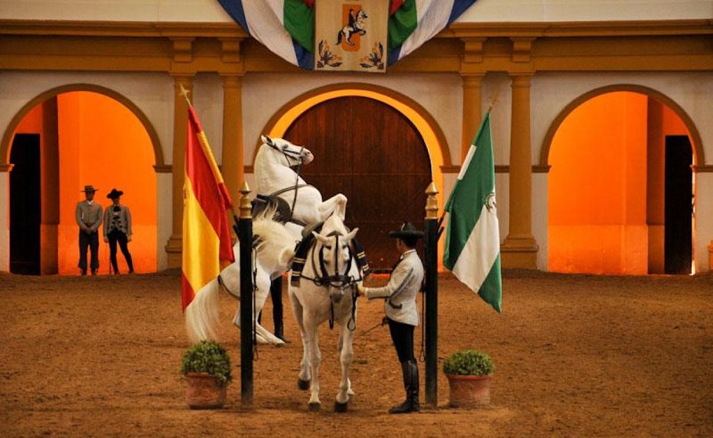 como bailan los caballos