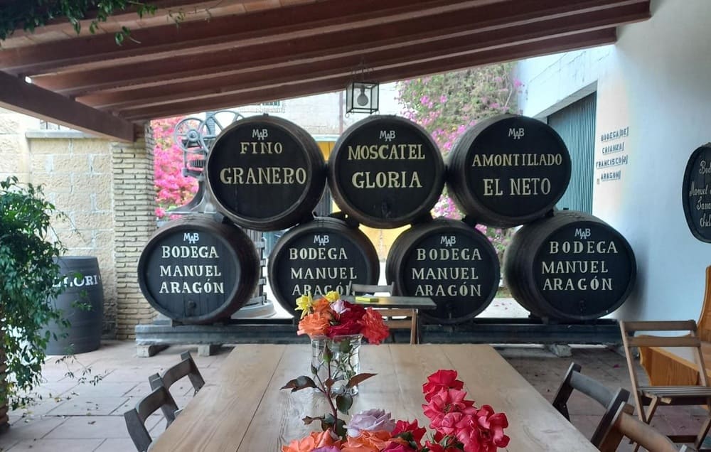 entrada-visita-estandar-bodega-campano-y-vinas (1)